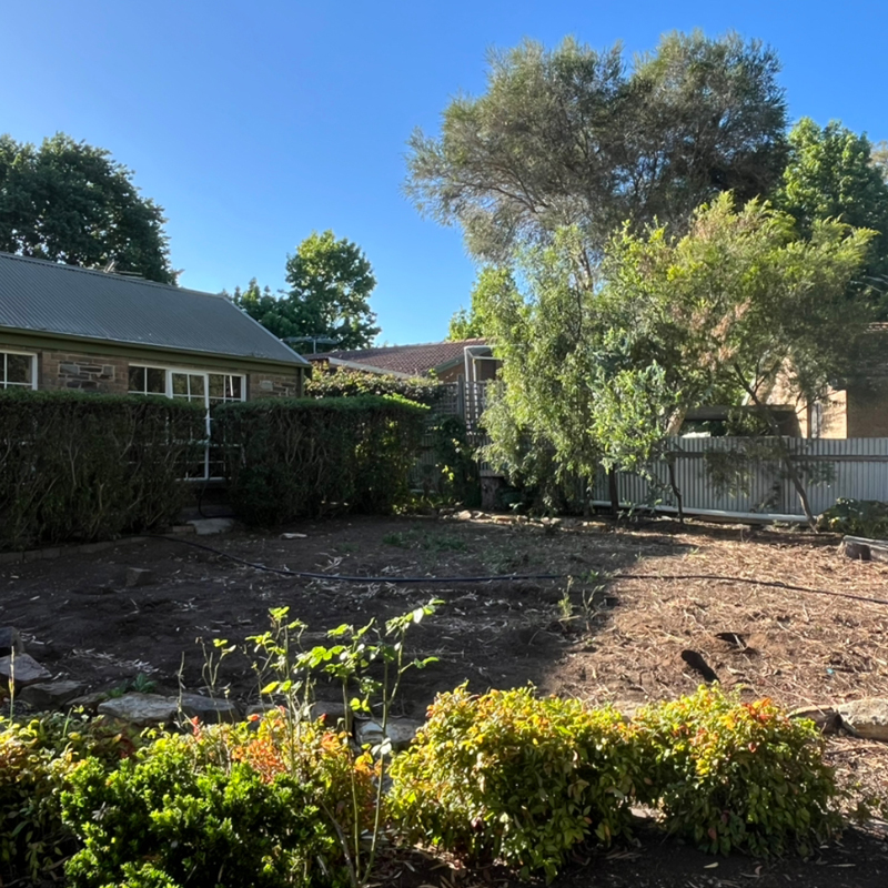 Before: backyard stripped back to bare soil beside a brick house