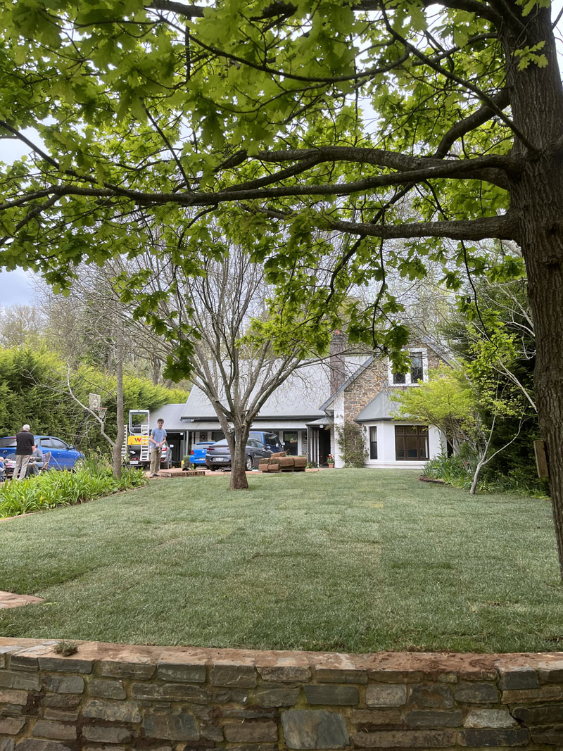 Freshly laid turf lawn behind a low stone wall in front of a house