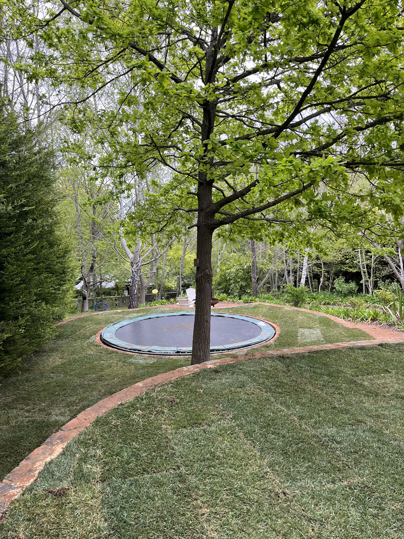 New turf around a tree and a sunken round trampoline with brick edging