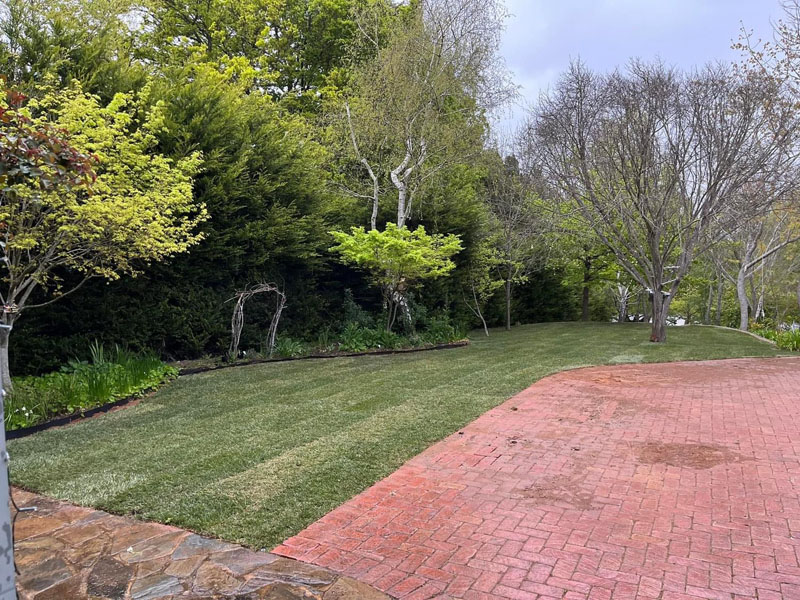 Finished lawn and red brick paving in a leafy garden