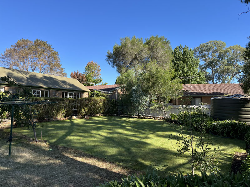 Green backyard lawn in afternoon sun beside a brick house and hedges