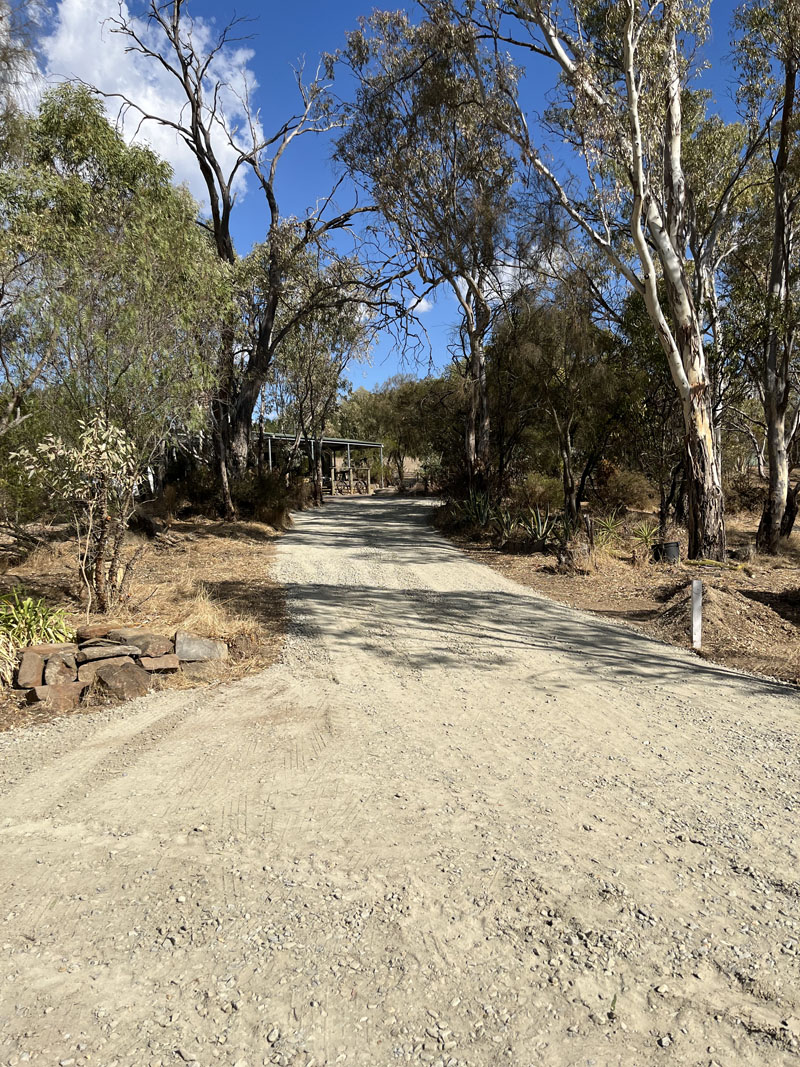 Gravel driveway winding through gum trees