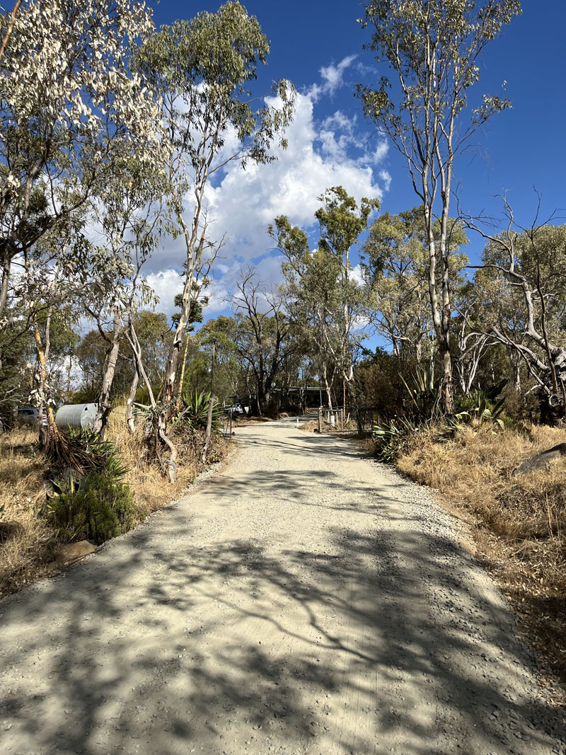 Gravel track through bushland with gum trees on both sides